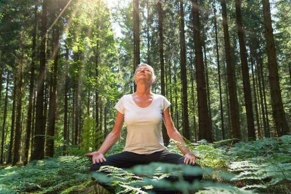 Experience the forest while bathing in the forest (Shinrin Yoku) Experience the forest while bathing in the forest (Shinrin Yoku) with all her senses. A 50 year old blonde woman sits cross legged relaxed. She fuels the sun and the atmosphere of the forest. The sun shines through the leaves.