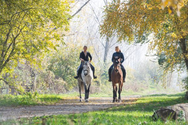 Girls on a horse ride.